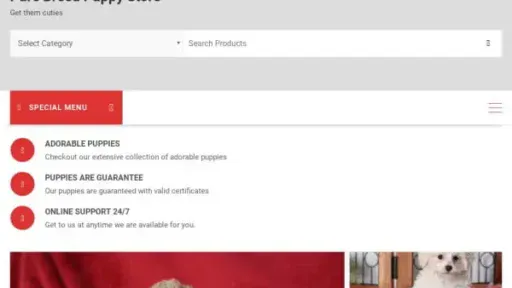Screenshot of