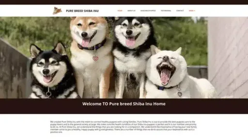 Screenshot of