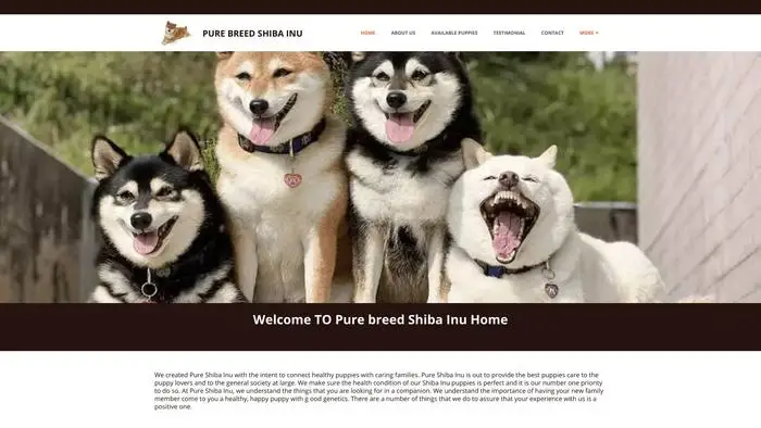 Screenshot of