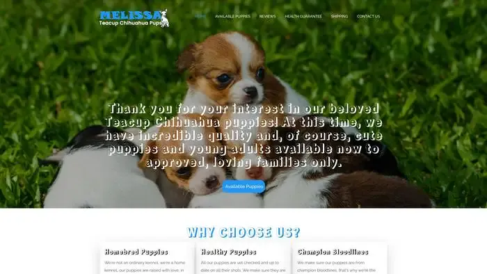 Screenshot of