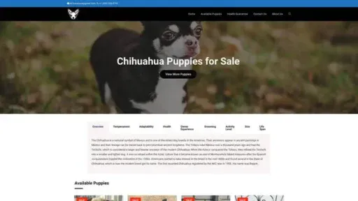 Screenshot of
