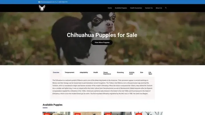 Screenshot of