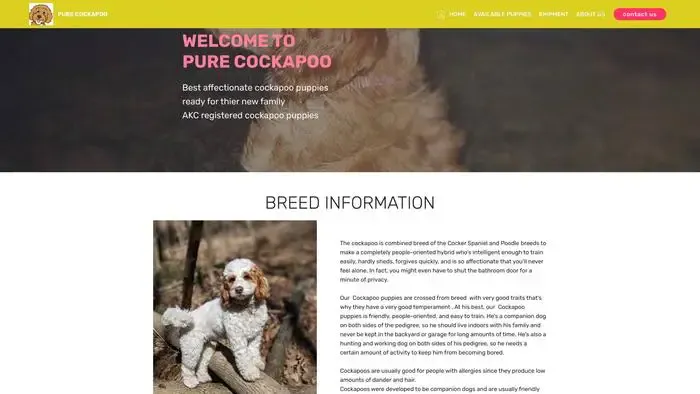 Screenshot of