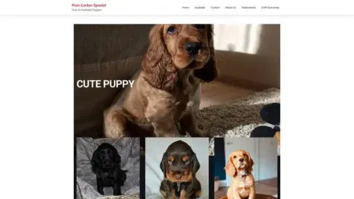 Screenshot of