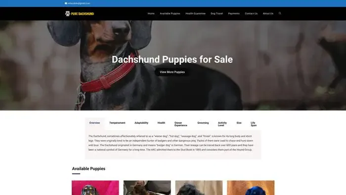 Screenshot of