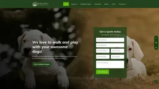 Screenshot of
