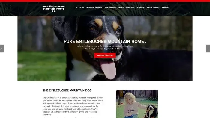 Screenshot of