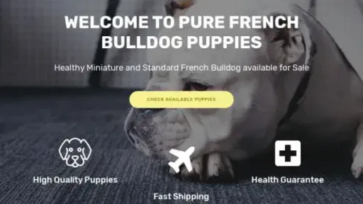 Screenshot of