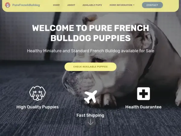 Screenshot of
