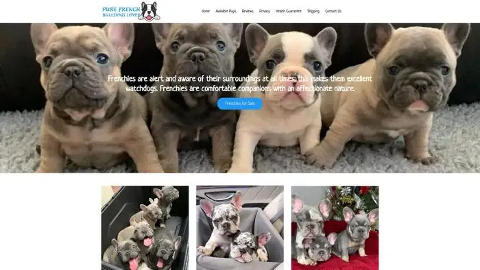 Screenshot of