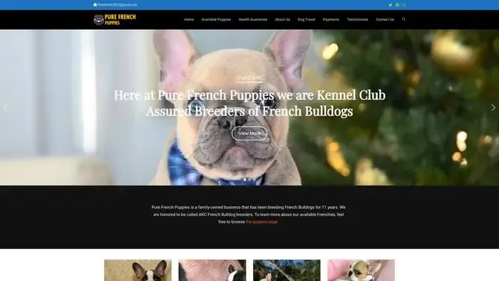 Screenshot of