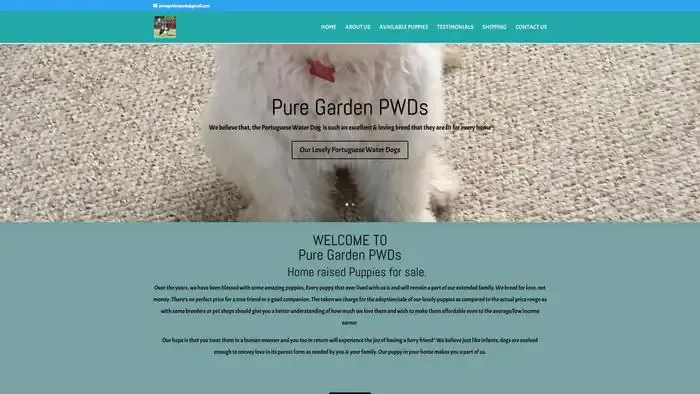 Screenshot of