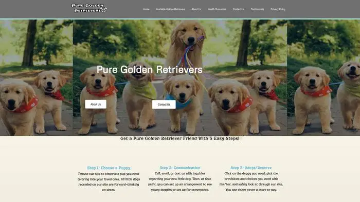 Screenshot of