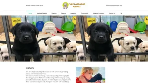Screenshot of