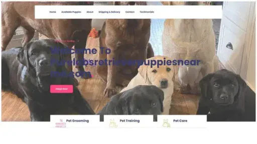 Screenshot of