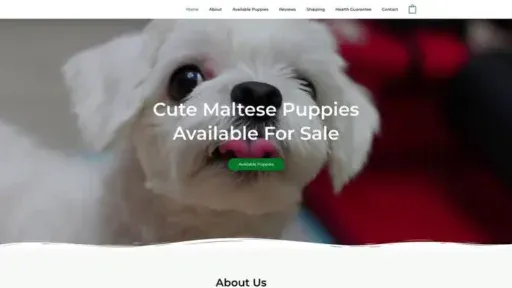 Screenshot of