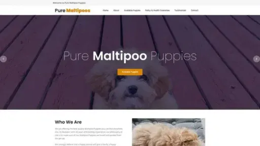 Screenshot of