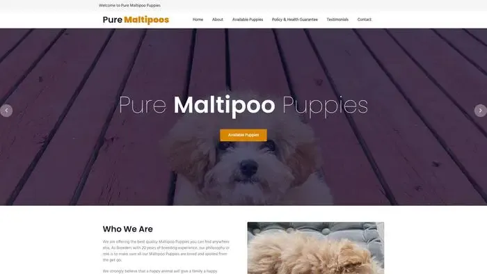 Screenshot of