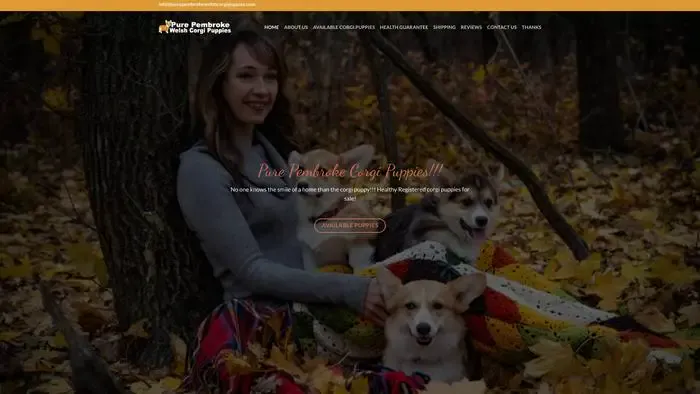 Screenshot of