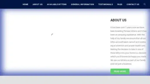Screenshot of