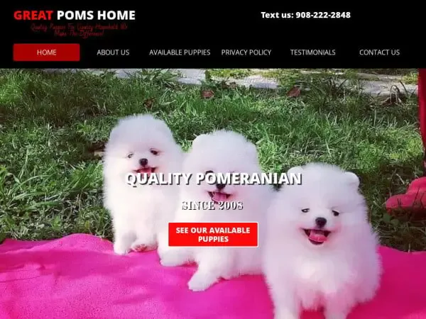 Screenshot of