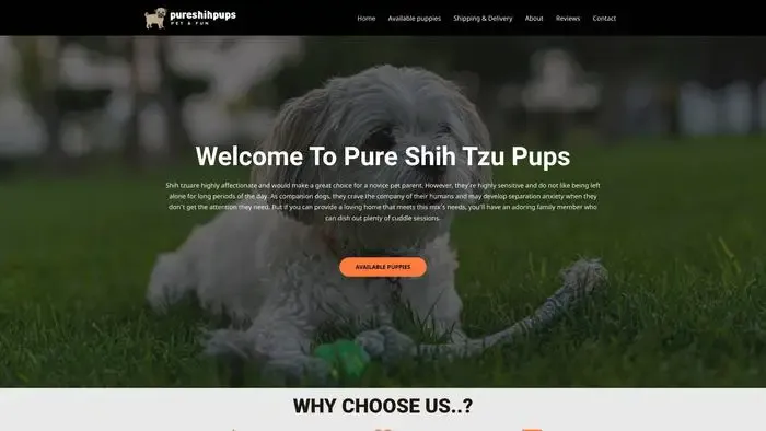 Screenshot of