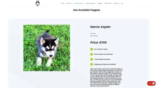 Screenshot of