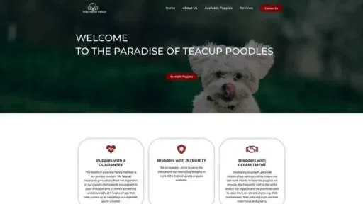 Screenshot of