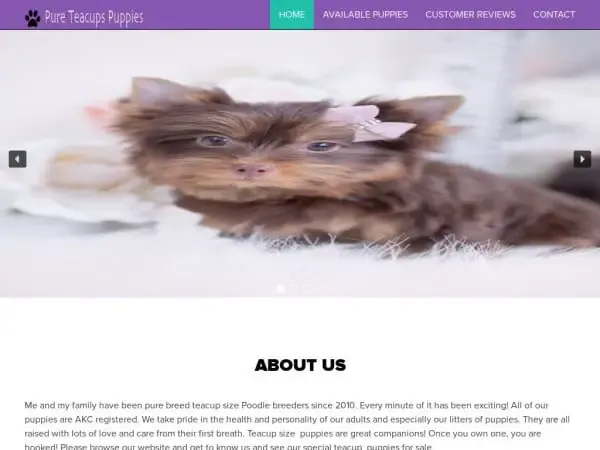 Screenshot of