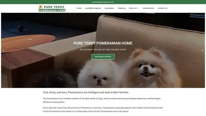 Screenshot of