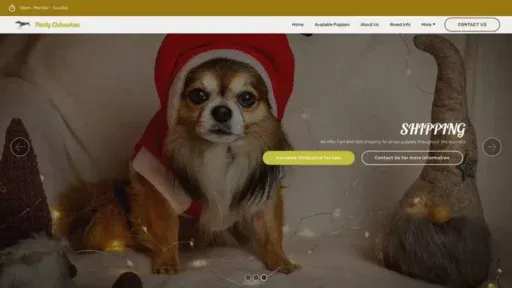 Screenshot of
