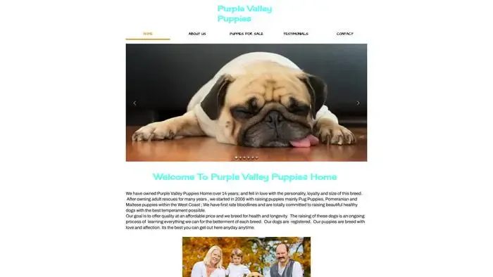 Screenshot of