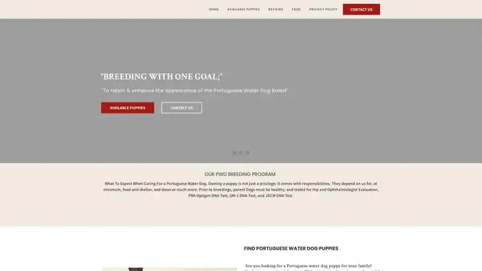 Screenshot of