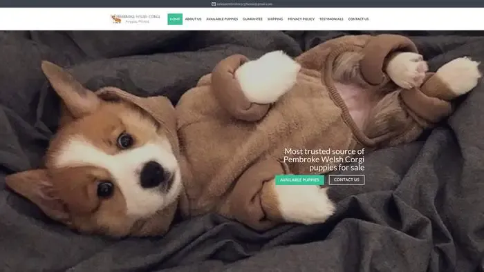 Screenshot of