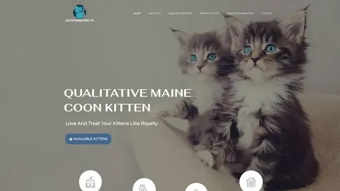 Screenshot of
