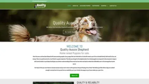 Screenshot of