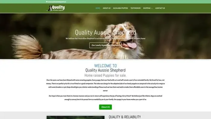 Screenshot of