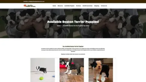 Screenshot of
