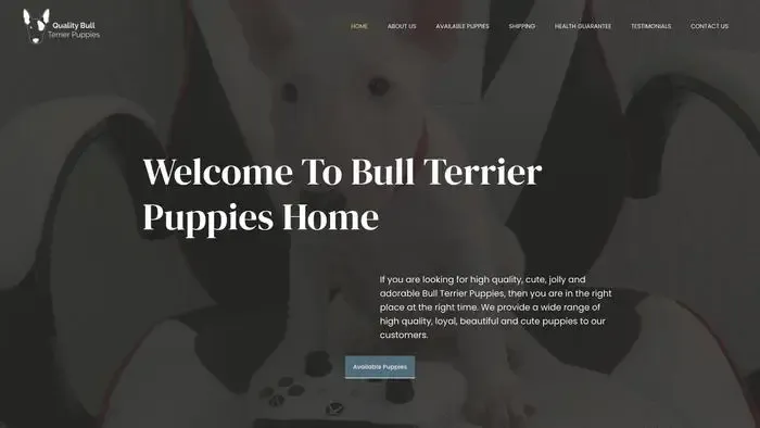Screenshot of