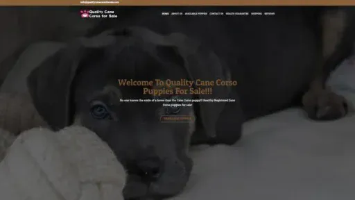 Screenshot of