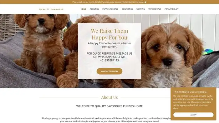 Qualitycavoodlepuppies