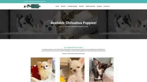 Screenshot of