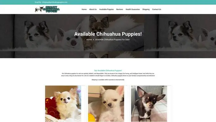 Screenshot of