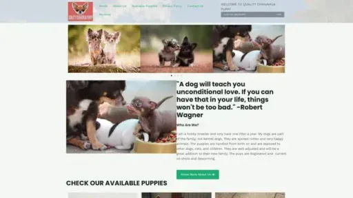 Screenshot of