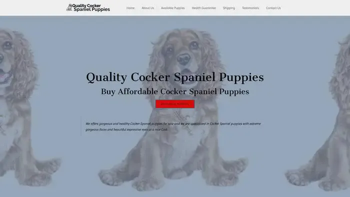 Screenshot of