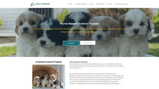 Screenshot of