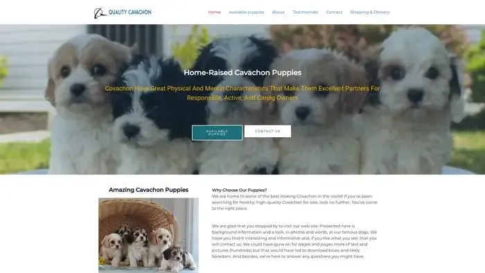 Screenshot of