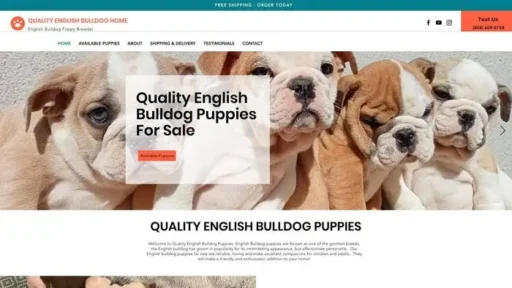 Screenshot of