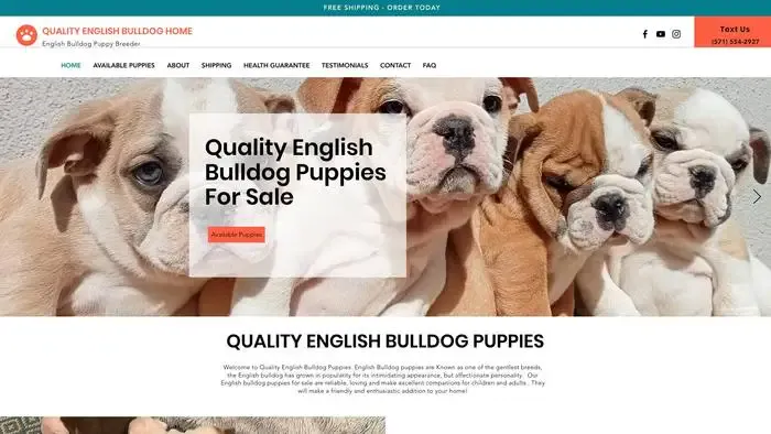 Screenshot of