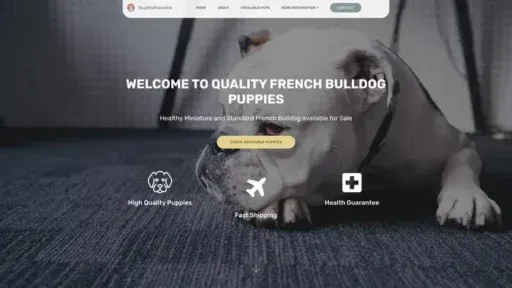 Screenshot of